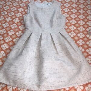 Shimmer & Gold Shine ✨ in Fit & Flair Dress. Lined Back Zip brunch to wedding!